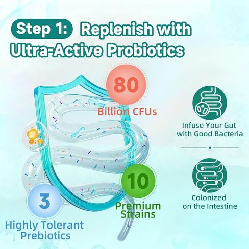 مكمل كبسولة صحة القناة الهضمية Trawecual، يدعم الميكروبيوم، والأمعاء المتسربة، والهضم، مع 80 مليار وحدة تشكيل مستعمرة من البروبيوتيك، والبريبايوتكس، والإنزيمات الهاضمة، ومكمل غذائي لصحة الأمعاء 30 في 1، 100 كبسولة in Kuwait