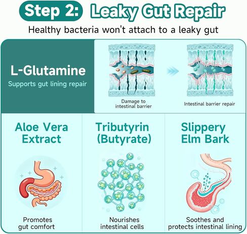 مكمل كبسولة صحة القناة الهضمية Trawecual، يدعم الميكروبيوم، والأمعاء المتسربة، والهضم، مع 80 مليار وحدة تشكيل مستعمرة من البروبيوتيك، والبريبايوتكس، والإنزيمات الهاضمة، ومكمل غذائي لصحة الأمعاء 30 في 1، 100 كبسولة in Kuwait