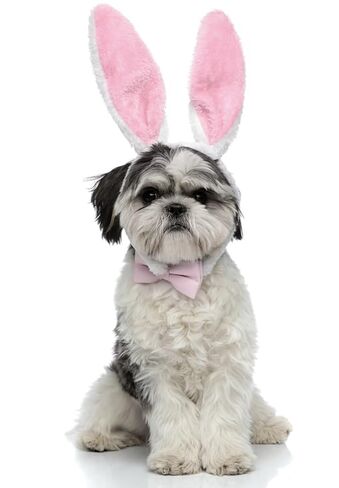 Delfd 10 Count Pink Bunny Ears Headband for Adults – Plush Rabbit Ears Headband for Easter, Costume, Halloween, or Everyday Use Bunny Ear Bulk in Saudi Arabia