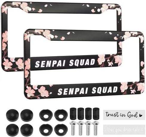 2PCS Stainless Steel License Plate Frames, 2 Holes Car Licence Plate Covers with Screws Washers and Caps, Car Exterior Accessories, License Plate Holder for US Vehicles Black in Saudi Arabia