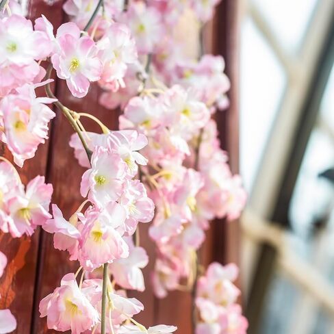 GPARK 2 حزمة / 70 بوصة / 5.9FT زهر الكرز الاصطناعي لتعليق الكروم زهرة الحرير إكليل لحفلات الزفاف ديكور الحائط الوردي الديكور الياباني الوردي الفاتح (حجم صغير) in Kuwait