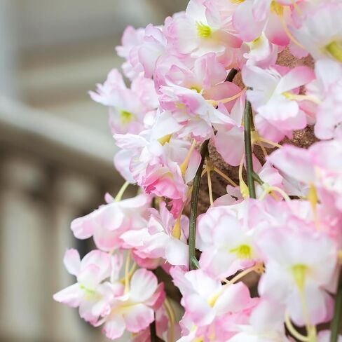 GPARK 2 حزمة / 70 بوصة / 5.9FT زهر الكرز الاصطناعي لتعليق الكروم زهرة الحرير إكليل لحفلات الزفاف ديكور الحائط الوردي الديكور الياباني الوردي الفاتح (حجم صغير) in Kuwait