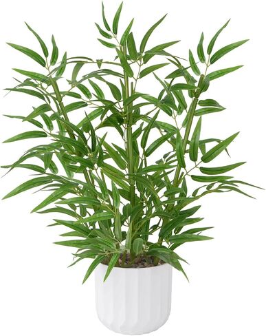 Luabue 22 بوصة نباتات صناعية داخلية للطاولة أعلى شجرة الخيزران الاصطناعي مع وعاء أبيض نبات بوعاء وهمي للمكتب ديكور المنزل غرفة المعيشة الداخلية مكتب المطبخ الحمام ديكور العداد in Kuwait