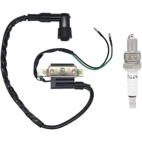 Amavoler Ignition Coil+Spark Plug Replacement Parts Fit for Coolster 125cc 3050B ATV-3050B 3050 B3050A 110cc Kids 4 Quad Four Wheeler Roketa Baja Kazuma Meerkat 50cc Falcom 110cc 70cc Chinese Quad ATV