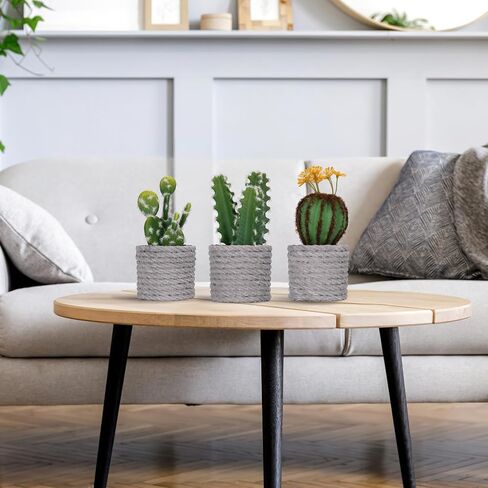RLAVBL Small Fake Potted Plants Set of 3, Artificial Cactus Plants for Home Office Table Decor Indoor in Saudi Arabia