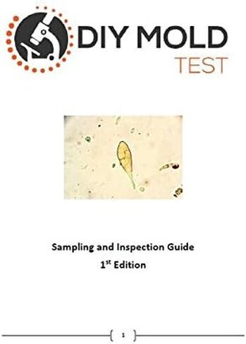 MIN Mold Test Kit, Mold Testing Kit (3 Tests). Lab Analysis and Expert Consultation Included in Saudi Arabia