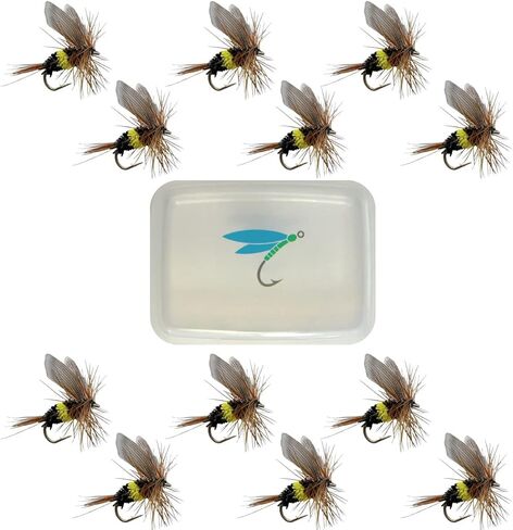 Thor Outdoor Bee Fly - McGinty Style Wet Fly Fishing Flies for Trout, Panfish, and Bass in Kuwait