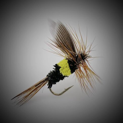 Thor Outdoor Bee Fly - McGinty Style Wet Fly Fishing Flies for Trout, Panfish, and Bass in Kuwait