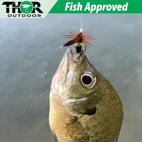 Thor Outdoor Bee Fly - McGinty Style Wet Fly Fishing Flies for Trout, Panfish, and Bass in Kuwait