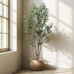 شجرة زيتون صناعية بطول 6 أقدام من Erimda شجرة زيتون صناعية طويلة من الحرير الصناعي مع صندوق خشبي طبيعي وفواكه نابضة بالحياة شجرة مزيفة بوعاء أو ديكور مكتب المنزل in Kuwait