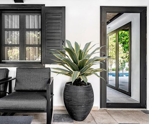 نبات صبار صناعي كبير بطول 81.28 سم من SUNPRAIRIE بأوراق ذات حواف مسننة ذات لونين؛ مزروعة في وعاء أسود مع حصى حجرية حقيقية. نباتات صناعية كبيرة داخلية وخارجية. in Kuwait