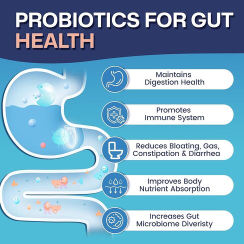 NATURE TARGET Probiotics for Women & Men, 60 Billion CFU, Prebiotics and Probiotic for Gut Health - SBO Probiotics Supports Digestive, Constipation, Diarrhea, Gas & Bloating, 90 Veggie Capsules in Saudi Arabia
