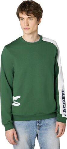 Lacoste Men للرجال الصالة التمساح الكبيرة in Saudi Arabia