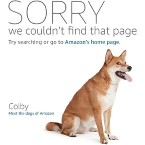 فستان نسائي متوسط ​​الطول بتصميم ضيق ورقبة على شكل V وأكمام طويلة وحفلات الكوكتيل والسهرات والعشاء in Kuwait