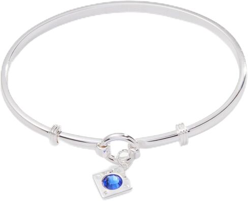 Alex and Ani Crystal Charm Clip Bangle, Sapphire in Saudi Arabia