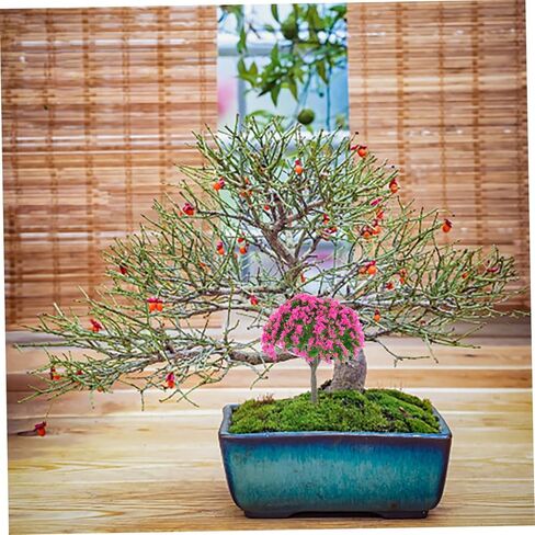 10Pcs Miniature Model Trees for Sand Table Landscape Decoration Artificial Tree Scenery Models for Table Centerpieces Layout Miniature Landscape Decor in Saudi Arabia