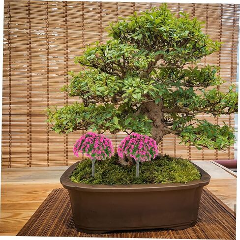 10Pcs Miniature Model Trees for Sand Table Landscape Decoration Artificial Tree Scenery Models for Table Centerpieces Layout Miniature Landscape Decor in Saudi Arabia
