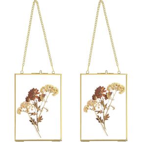 JUXYES Set of 2 Wall Hanging Brass Frames for Pressed Flowers, Double Glass Hanging Picture Artwork Display Frame, Vertical Gold Floating Style Gallery Wall Frame for Photo Picture Poster etc, 4x6 Inches in Saudi Arabia