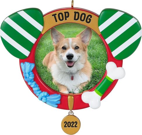 Hallmark Keepsake Christmas Ornament 2025, Reindoggie, Gifts for Dog Lovers in Saudi Arabia