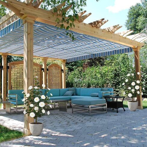 HanJoy 1pack 47.24 "/3.94FT أشجار الكاميليا الاصطناعية مع 36 زهرة بيضاء في أواني الأسمنت - أشجار وهمية نابضة بالحياة للشرفة الأمامية، المنزل، ديكور الربيع الداخلي والخارجي، المكتب أو هدايا الانتقال إلى المنزل الجديد in Saudi Arabia