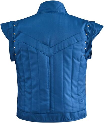 WHLVBO Prince Flynn Rider Cosplay Costume Vest Blue Renaissance Medieval Style Waistcoat for Men in Kuwait