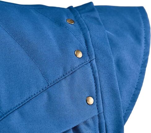 WHLVBO Prince Flynn Rider Cosplay Costume Vest Blue Renaissance Medieval Style Waistcoat for Men in Kuwait