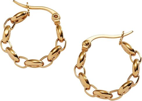 Alex and Ani Frozen Mariner Chain Hoop Earrings in Kuwait