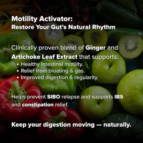 OC Integrative Medicine Motility Activator by Dr. Rajsree | Helps with Gas, Bloating & Constipation | Promotes Small Intestine Motility | with Ginger and Artichoke Leaf Extract | 60 Capsules in Saudi Arabia