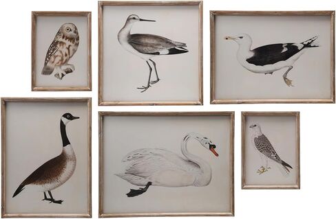 Creative Co-Op 6-Piece Wood Framed Glass Wall Décor with Bird Images, Distressed Finish in Saudi Arabia