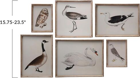 Creative Co-Op 6-Piece Wood Framed Glass Wall Décor with Bird Images, Distressed Finish in Saudi Arabia