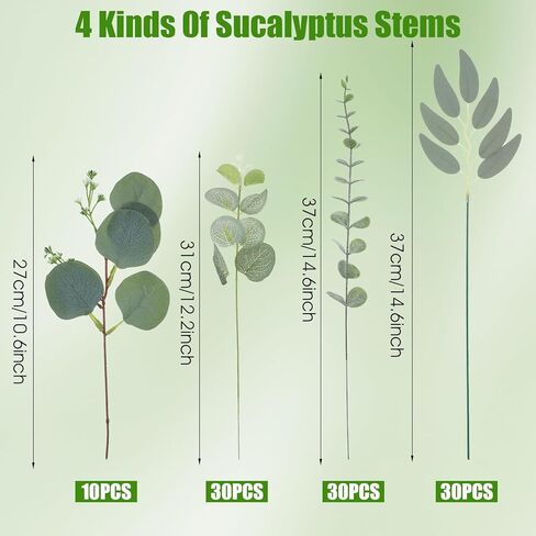 100 Pcs Mixed Eucalyptus Stems Bulk, 4 Style Artificial Silver Dollar Eucalyptus Leaves for Wedding Centerpieces, Faux Greenery Branches for Wedding Centerpiece Vase Bouquet Floral Home Decor in Saudi Arabia