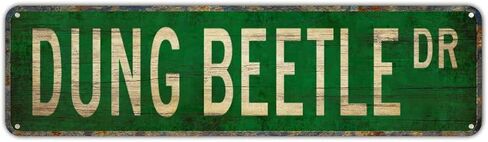 Metal Tin Sign GOLF DR Funny Vintage Sign Retro Metal Signs for Bedroom Kitchen Garden Wall Bar Club Coffee Home Decor 6x16 Inch in Saudi Arabia