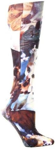 Celeste Stein Women's Modern in Saudi Arabia