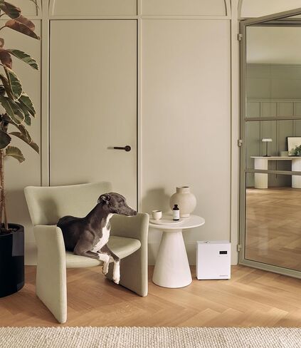 AromaTech AromaPro Bluetooth موزع الزيوت العطرية للزيوت العطرية، نظام نشر الرذاذ، نظام خالي من الحرارة للاستخدام المنزلي أو التجاري، يغطي ما يصل إلى 4000 قدم مربع (أبيض) in Kuwait
