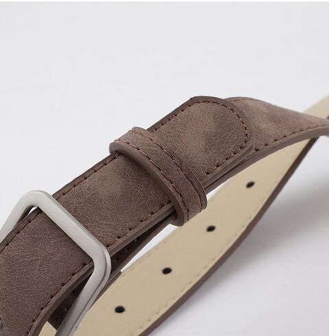 COTIM COYIN Women's Suede Leather Belts with Silver Buckle for Jeans, Pants, Dresses, 45.67 inch (116cm) Length in Saudi Arabia