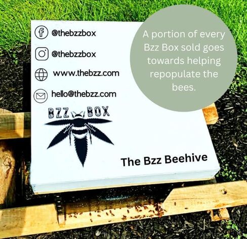 صندوق تخزين OG للديكور من BzzBox - أكاسيا، قابل للقفل، مع 3 برطمانات لسهولة التخزين | صندوق تخزين تذكاري أنيق لكل شيء in Saudi Arabia