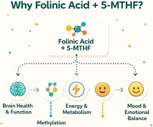 قطرات حمض الفولينيك للأطفال والكبار - مع L-Methylfolate Methyl B12، P5P B6، جليسينات المغنيسيوم، فيتامين D3 وC دعم حمض الفوليك الميثيل للدماغ والتركيز والمزاج والصحة الخلوية - قطرات 5-MTHF in Saudi Arabia