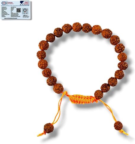 سوار Rudraksha للرجال والنساء مطلي بالذهب مصمم من خرز الهيمالايا 5-موخي وجه Rudraksha خرز مع لون ذهبي من الفولاذ المقاوم للصدأ مجوهرات روحية من أجل الطاقة الإيجابية والازدهار in Kuwait