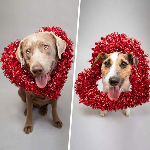 Otime Day Frame Wire Wreath Heart-Shaped Valentine's DIY in Heart Wedding Decoration 12 Inch Shaped Frame, Metal Floral Hoop Ring for Crafts, Christmas New Year Party Home Door (Green) in Saudi Arabia