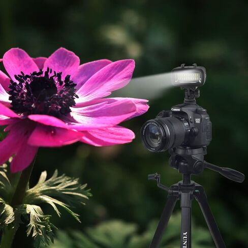 LIANQIAN Waterproof Video Light Underwater Lights Dive Light for Gopro/AKASO Action Cameras and Canon/Nikon SLR Cameras Sea forgs Underwater Housing (SL-101) in Kuwait