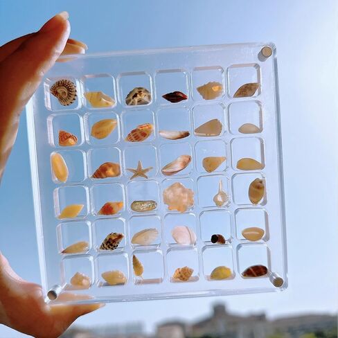Generic Acrylic Magnetic Seashell Display Box, 36 Grids Clear Mini Seashell Storage Box Display Case Decorative Seashell Starfish Trinket, Small Craft Organizers Container for Bead, Nail, Jewelry in Kuwait