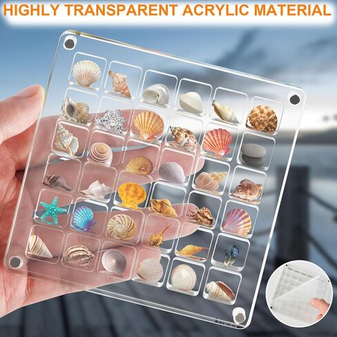 Generic Acrylic Magnetic Seashell Display Box, 36 Grids Clear Mini Seashell Storage Box Display Case Decorative Seashell Starfish Trinket, Small Craft Organizers Container for Bead, Nail, Jewelry in Kuwait