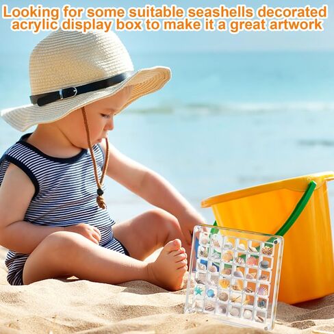 Generic Acrylic Magnetic Seashell Display Box, 36 Grids Clear Mini Seashell Storage Box Display Case Decorative Seashell Starfish Trinket, Small Craft Organizers Container for Bead, Nail, Jewelry in Kuwait
