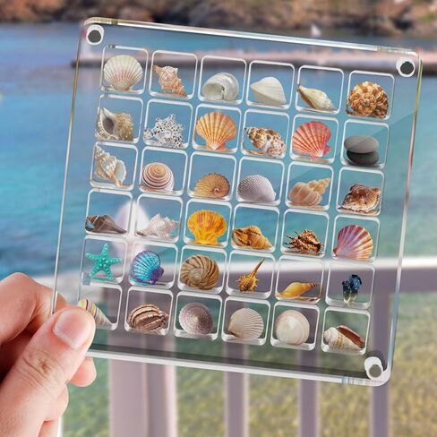 Generic Acrylic Magnetic Seashell Display Box, 36 Grids Clear Mini Seashell Storage Box Display Case Decorative Seashell Starfish Trinket, Small Craft Organizers Container for Bead, Nail, Jewelry in Kuwait