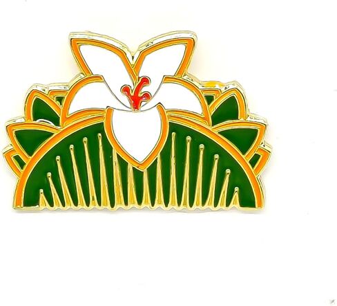 Mulan Comb Enamel Pin - Cooperation Series - Enamel Lapel Pin - Plated Badge for Clothing, Bags, and Lanyards in Saudi Arabia