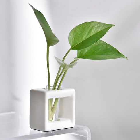 ORGJ Ceramic Propagation Station - 2-in-1 Water Propagation Vase & Aroma Diffuser for Plants, Geometric Propagation Tubes with Plant Rooting Containers, Modern White Decor in Saudi Arabia