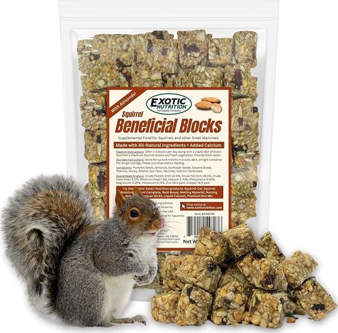 Exotic Nutrition Beneficial Blocks (10 oz.) - Healthy & Unique Supplemental Food with Nuts & Seeds for Squirrels in Kuwait