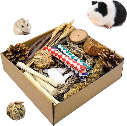 Guinea Pig Toys Rabbit Toys Box for Chewing&Teeth Grinding Natural Bunny Treats for Chinchilla, Rat, Hamster and Other Small Pets (Medium) in Kuwait