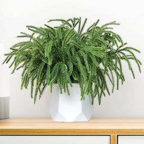 Real Touch Christmas Norfolk Pine Branches -18" Artificial Pine Branches Green Plants Branches for Holiday Floral Arrangements, Wreaths, Craft DIY and Home Xmas Decorations (6PCS(36 sprigs)) in Saudi Arabia