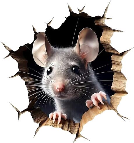 ملصقات جدارية ثلاثية الأبعاد لفتحة الفأر، عبوتان من ملصقات الفينيل القابلة للإزالة المقاومة للماء للجدران والأثاث وغرفة النوم والكمبيوتر المحمول وتزيين السيارة LB-0029 in Kuwait